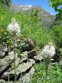 IMG_1832