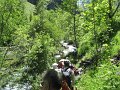 IMG_1834