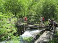 IMG_1835