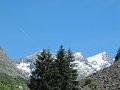 IMG_1848
