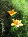 IMG_1849