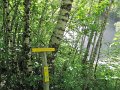 IMG_1857