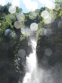 IMG_1868