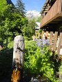 DSC06192