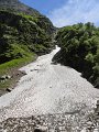 DSC06217