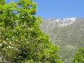 DSC06219