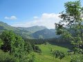 IMG_1886