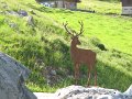 IMG_1893