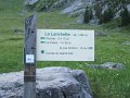 IMG_1901