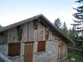 IMG_1908