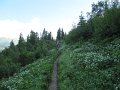 IMG_1910