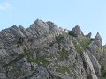 IMG_1917