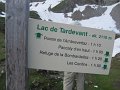 IMG_1918