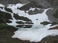 IMG_1919