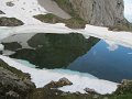 IMG_1926