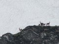 IMG_1932