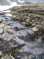 IMG_1959