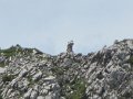 IMG_1961