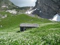 IMG_1964