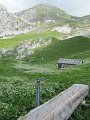 IMG_1965