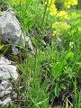 IMG_1975