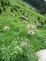 IMG_1978