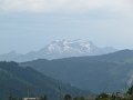 IMG_1980