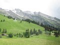 IMG_1984