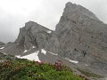 DSC06342