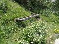 DSC06344