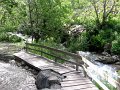 IMG_7856