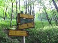 IMG_2002