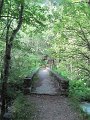IMG_2003
