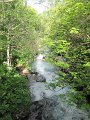 IMG_2004