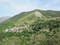 IMG_2006