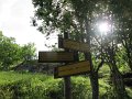 IMG_2008