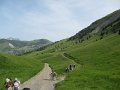 IMG_2011