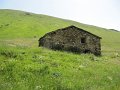 IMG_2024
