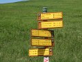 IMG_2025