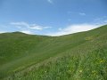 IMG_2028