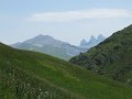 IMG_2029