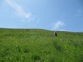 IMG_2051