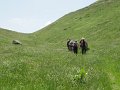 IMG_2055