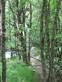 IMG_2067
