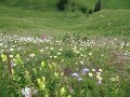 IMG_2080