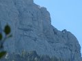 IMG_2172
