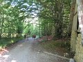 IMG_2175
