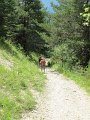 IMG_2206