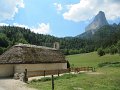 IMG_2211