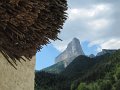 IMG_2228